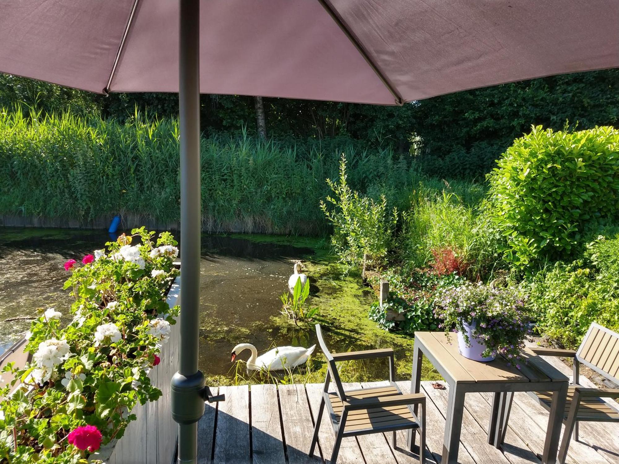 Het Waterhoentje *