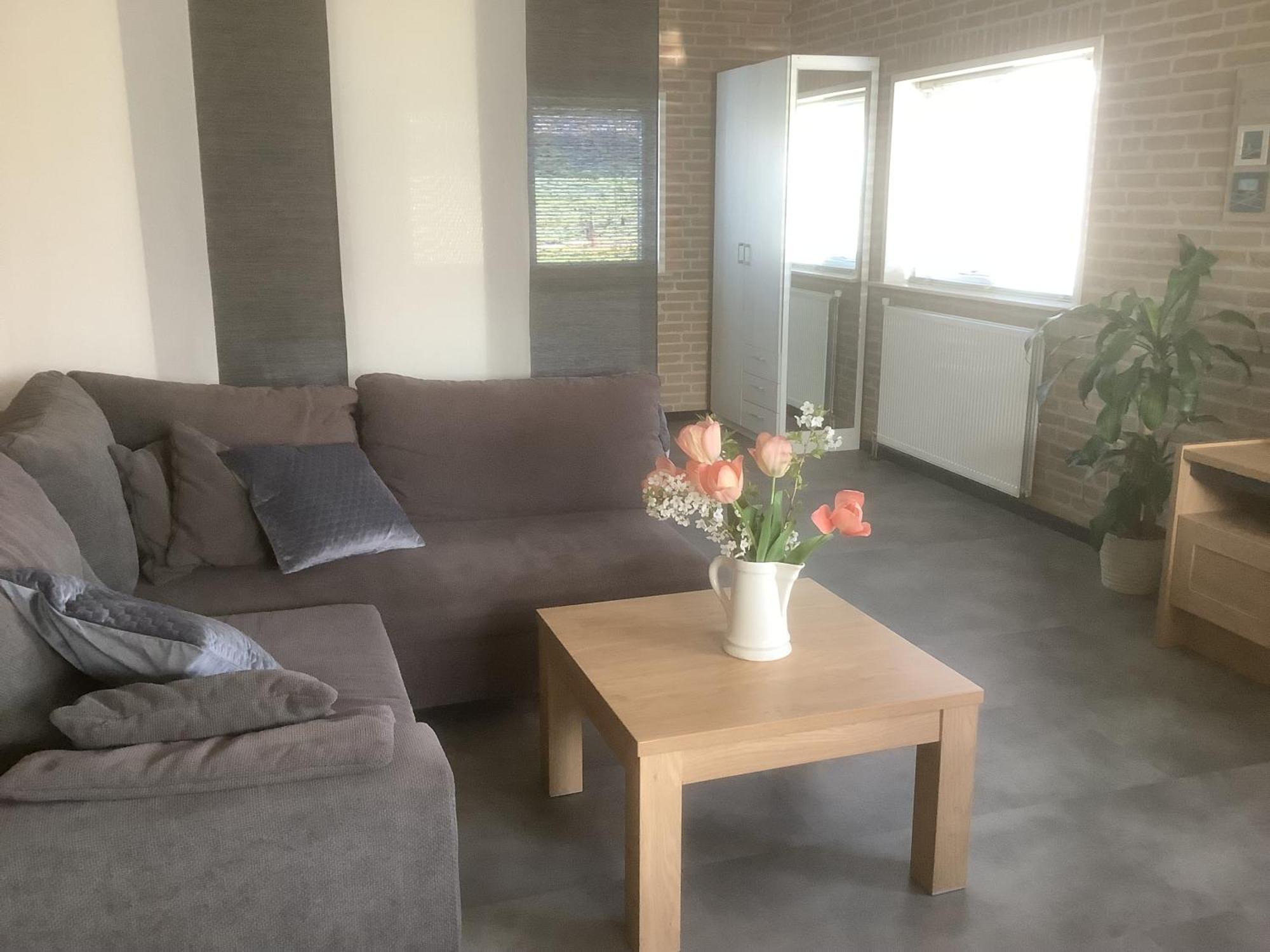 Het Waterhoentje Apartment