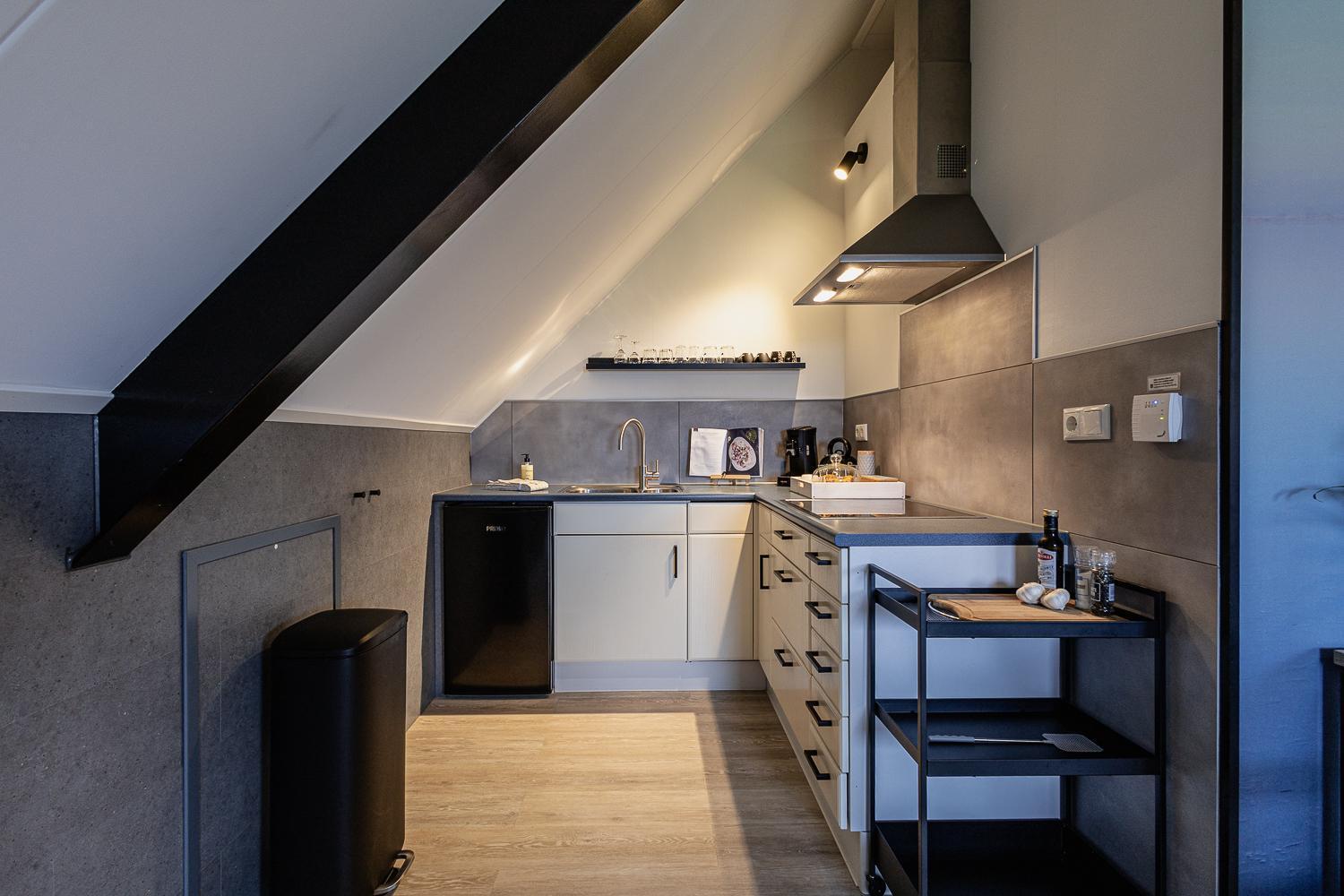 Het Waterhoentje Apartment