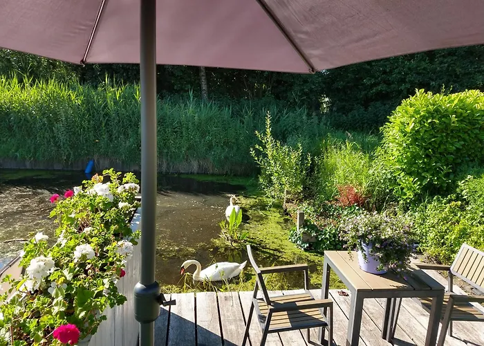 Het Waterhoentje